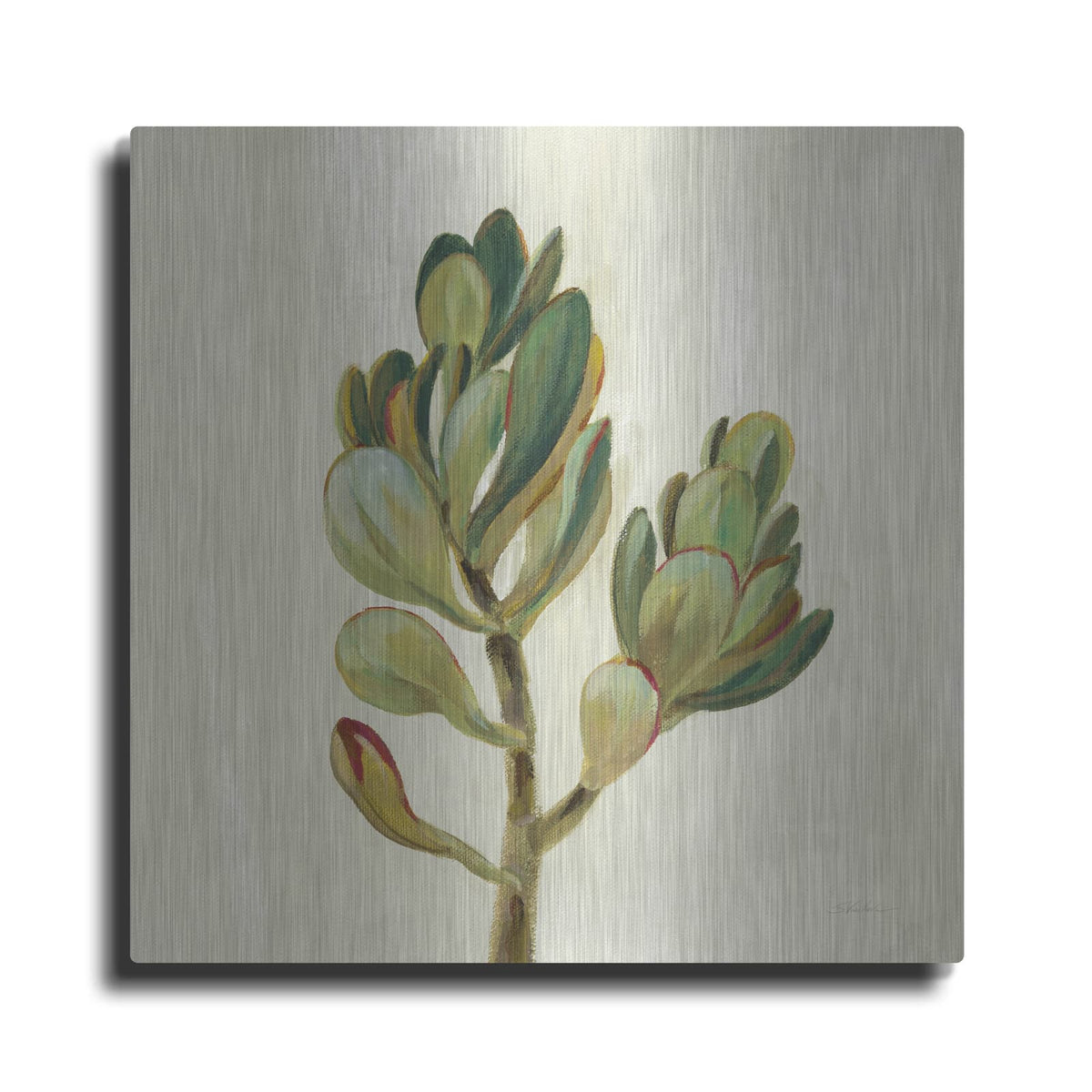 'Front Yard Succulent II' by Silvia Vassileva – Metal Wall Art