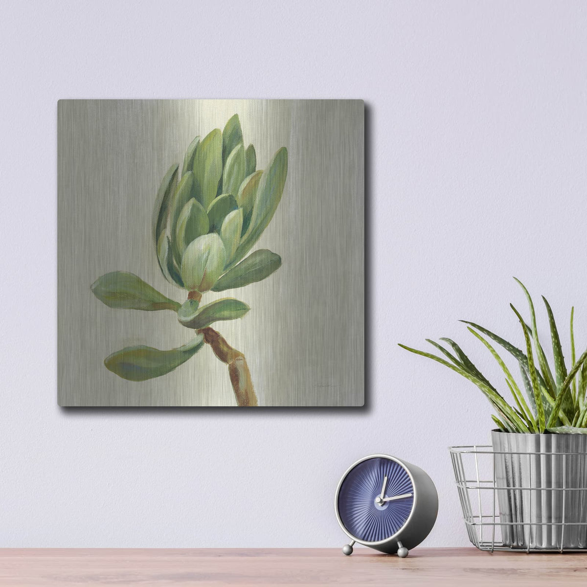 'Front Yard Succulent III' by Silvia Vassileva – Metal Wall Art, 12x12 room view