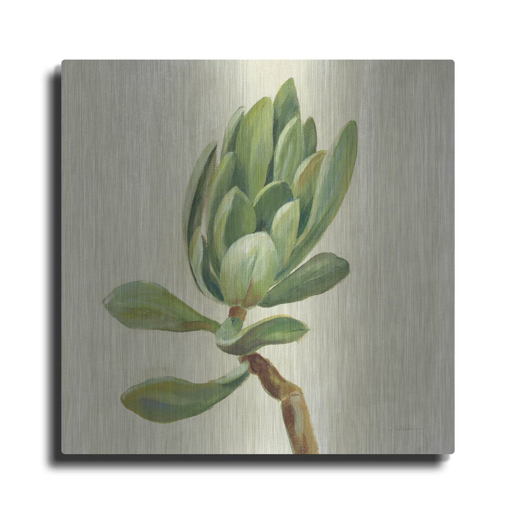 'Front Yard Succulent III' by Silvia Vassileva – Metal Wall Art