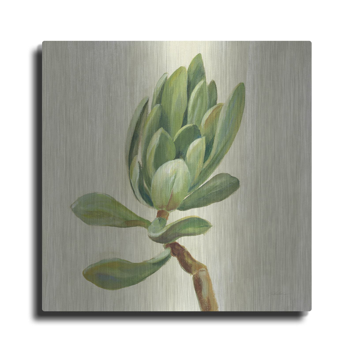 'Front Yard Succulent III' by Silvia Vassileva – Metal Wall Art