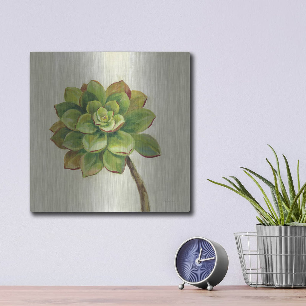 'Front Yard Succulent IV' by Silvia Vassileva – Metal Wall Art, 12x12 room view