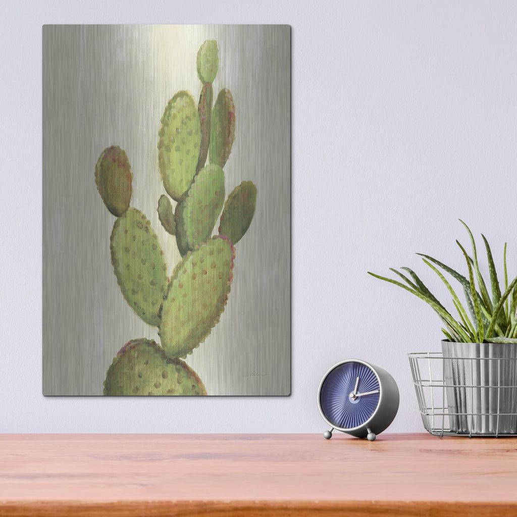 'Front Yard Cactus I' by Silvia Vassileva – Metal Wall Art, 12x16 room view