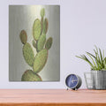 'Front Yard Cactus I' by Silvia Vassileva – Metal Wall Art, 12x16 room view
