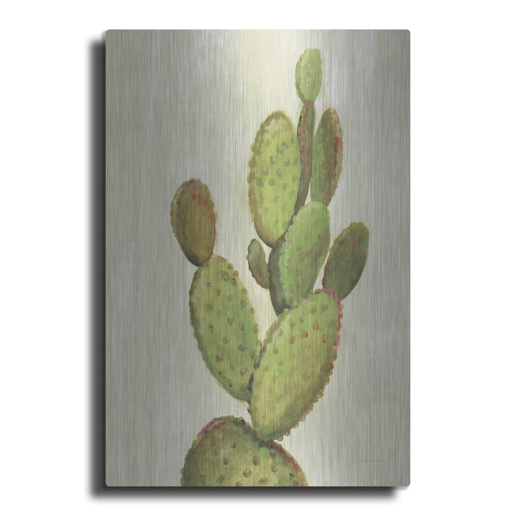 'Front Yard Cactus I' by Silvia Vassileva – Metal Wall Art