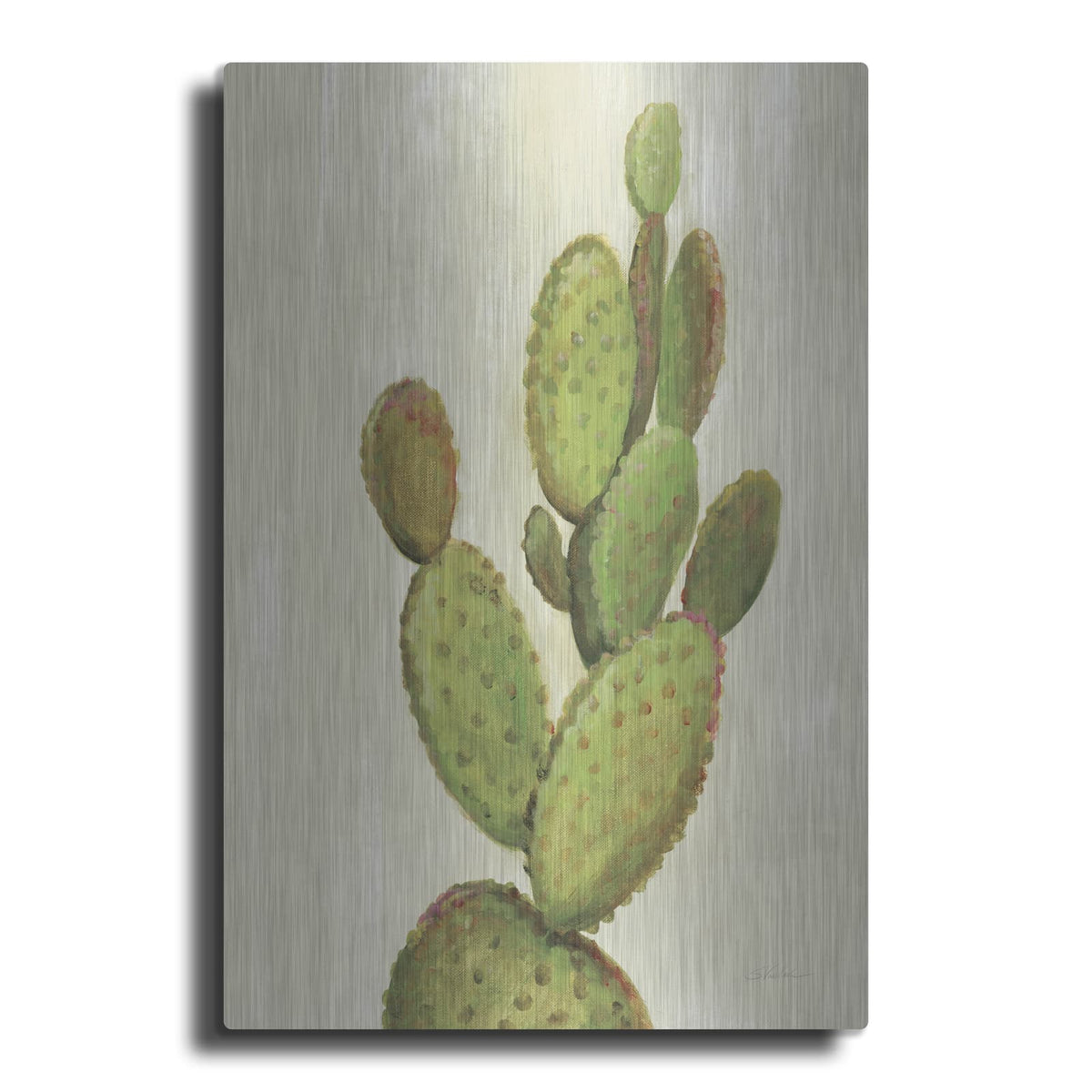 'Front Yard Cactus I' by Silvia Vassileva – Metal Wall Art