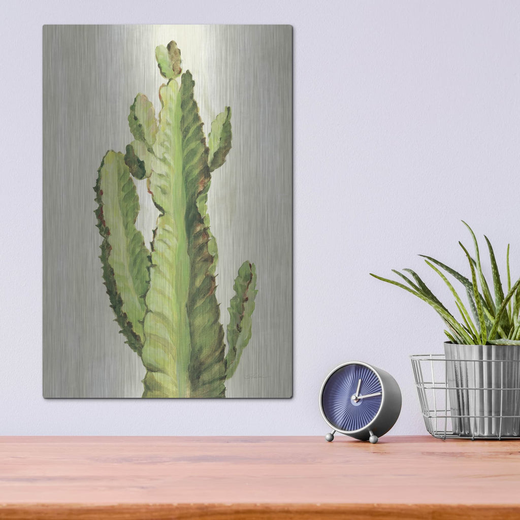 'Front Yard Cactus II' by Silvia Vassileva – Metal Wall Art, 12x16 room view
