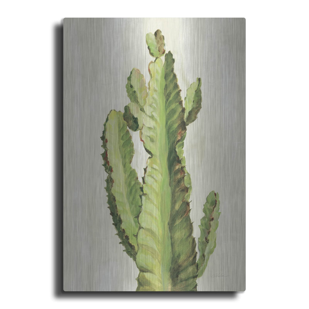 'Front Yard Cactus II' by Silvia Vassileva – Metal Wall Art