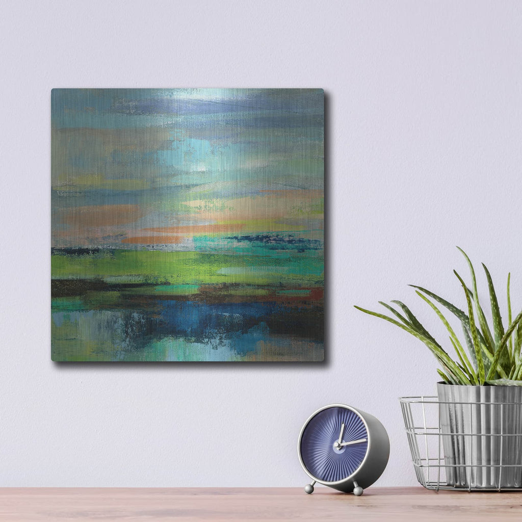 'Delmar Sunset II' by Silvia Vassileva – Metal Wall Art, 12x12 room view