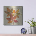 'November Leaves I' by Silvia Vassileva – Metal Wall Art, 12x12 room view