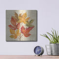 'November Leaves IV' by Silvia Vassileva – Metal Wall Art, 12x12 room view