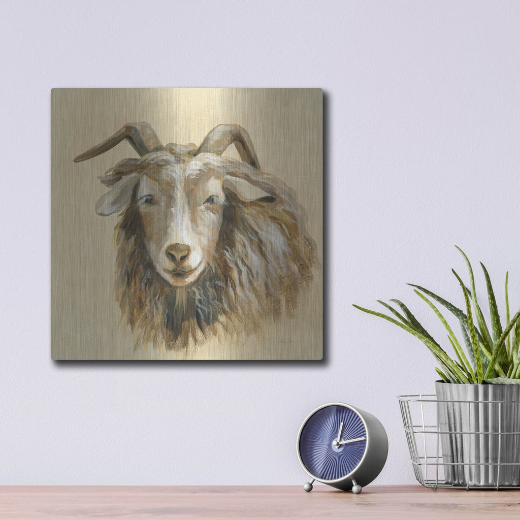 'Highland Animal Sheep' by Silvia Vassileva – Metal Wall Art, 12x12 room view