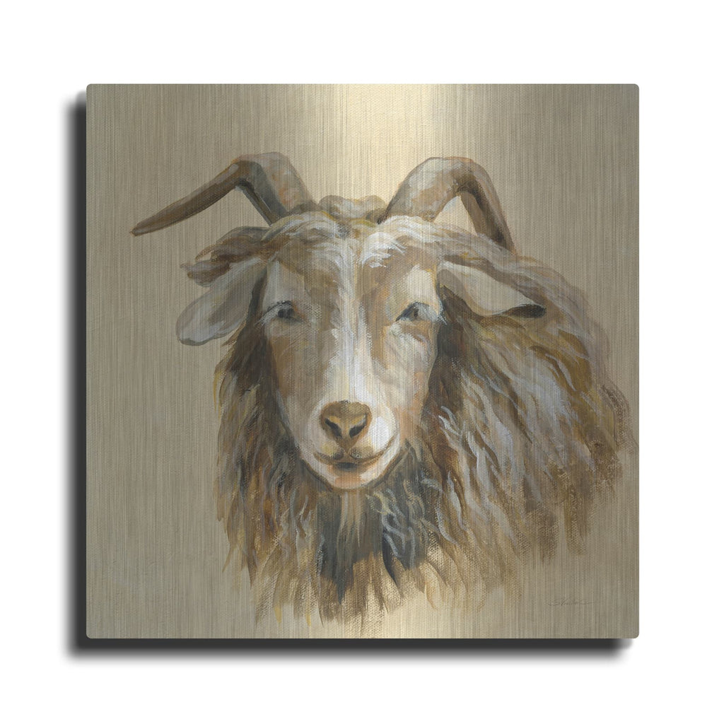 'Highland Animal Sheep' by Silvia Vassileva – Metal Wall Art
