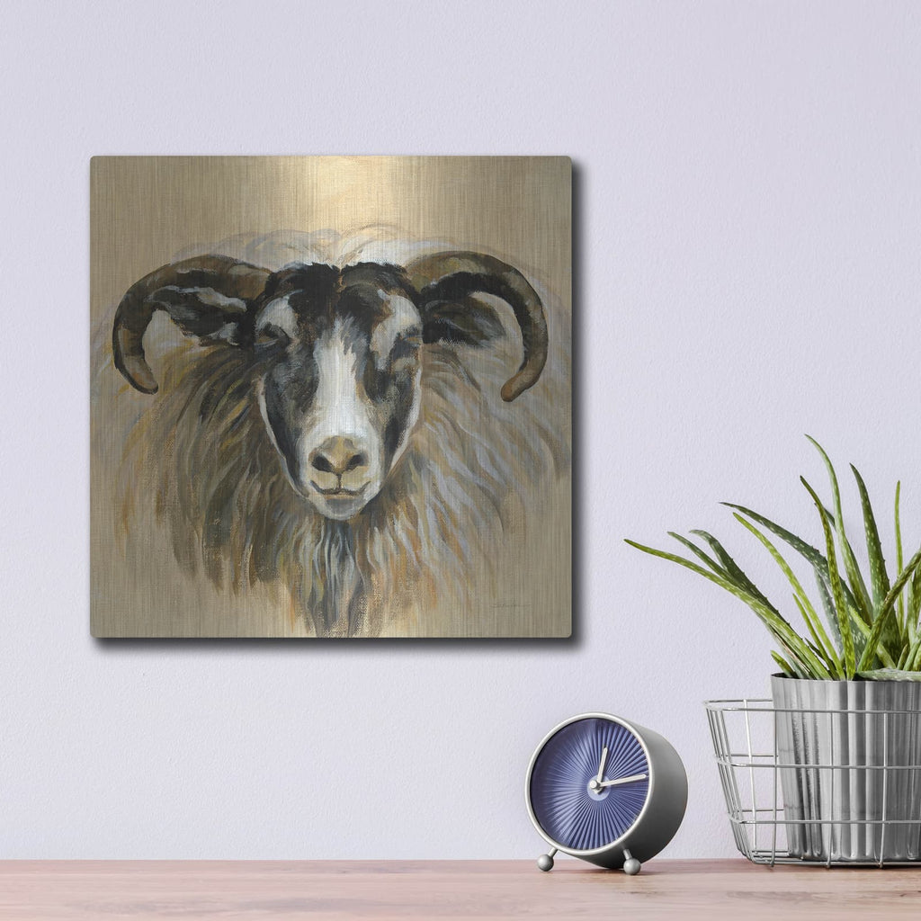 'Highland Animal Ram' by Silvia Vassileva – Metal Wall Art, 12x12 room view