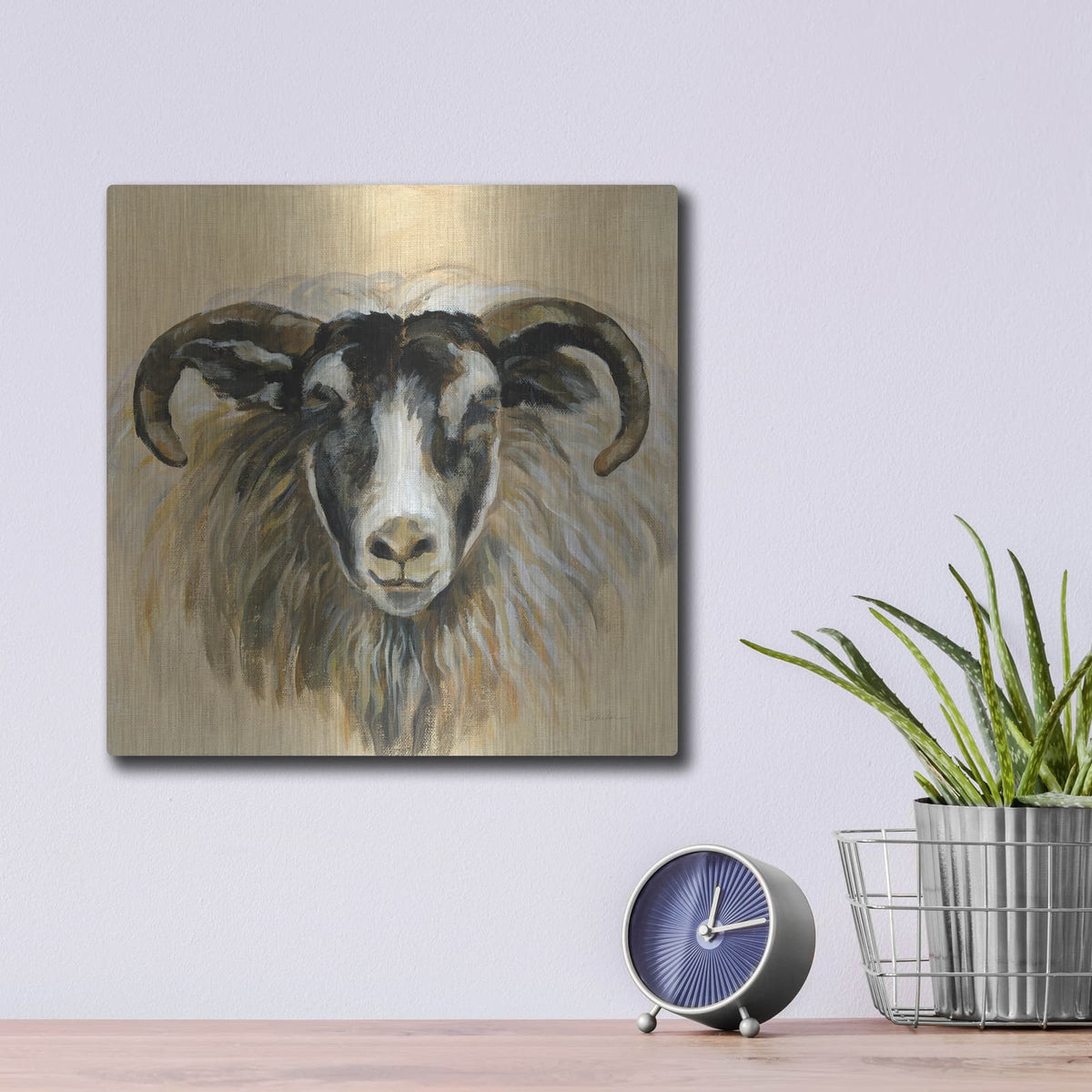 'Highland Animal Ram' by Silvia Vassileva – Metal Wall Art, 12x12 room view