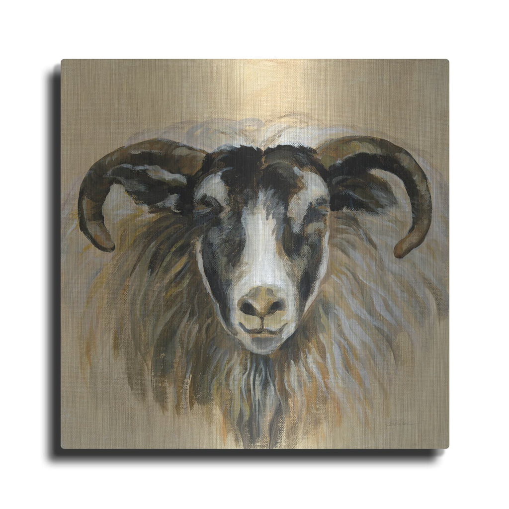 'Highland Animal Ram' by Silvia Vassileva – Metal Wall Art