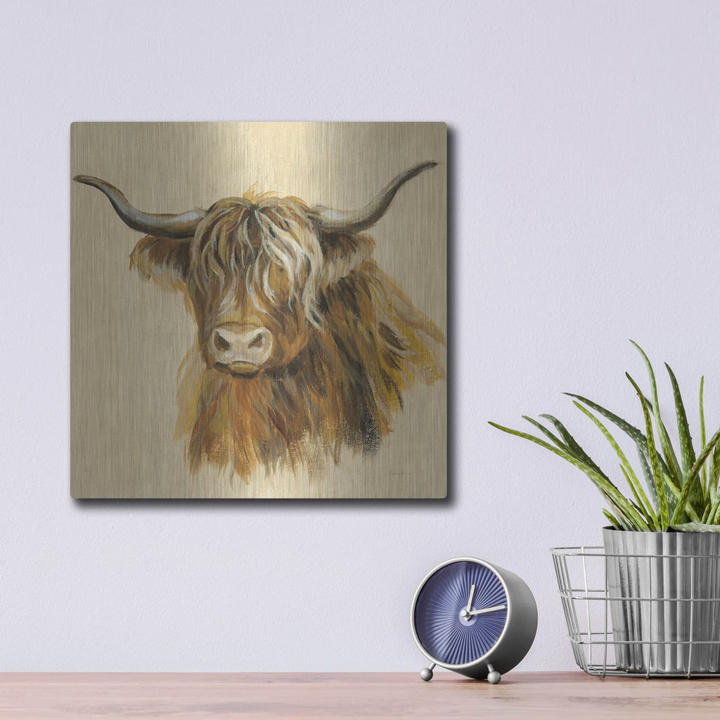 'Highland Animal Cow' by Silvia Vassileva – Metal Wall Art, 12x12 room view