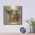 'Highland Animal Cow' by Silvia Vassileva – Metal Wall Art, 12x12 room view