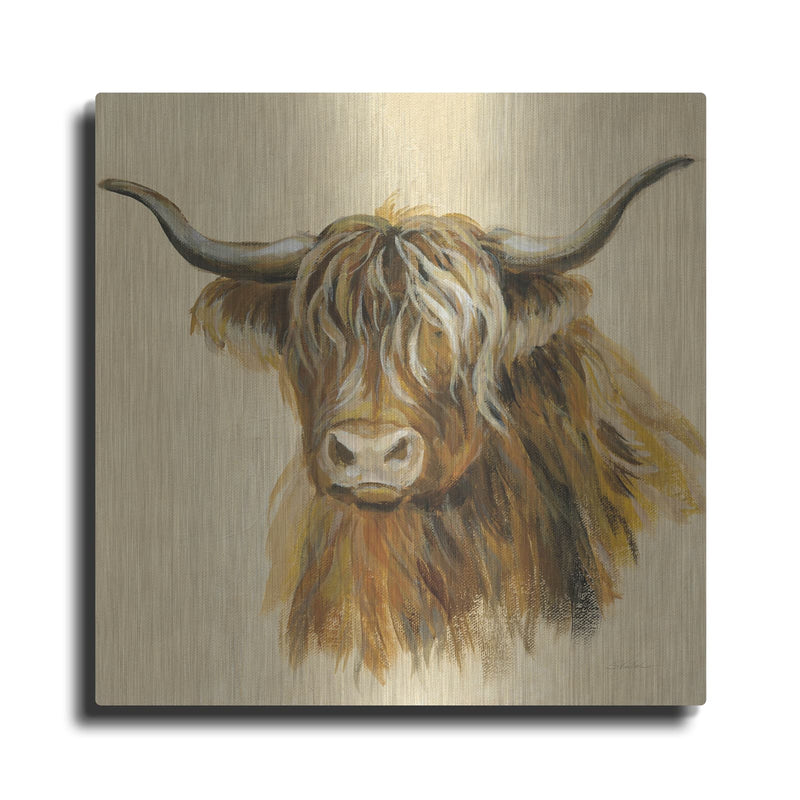 'Highland Animal Cow' by Silvia Vassileva – Metal Wall Art