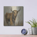 'Highland Mountain Cow' by Silvia Vassileva – Metal Wall Art, 12x12 room view