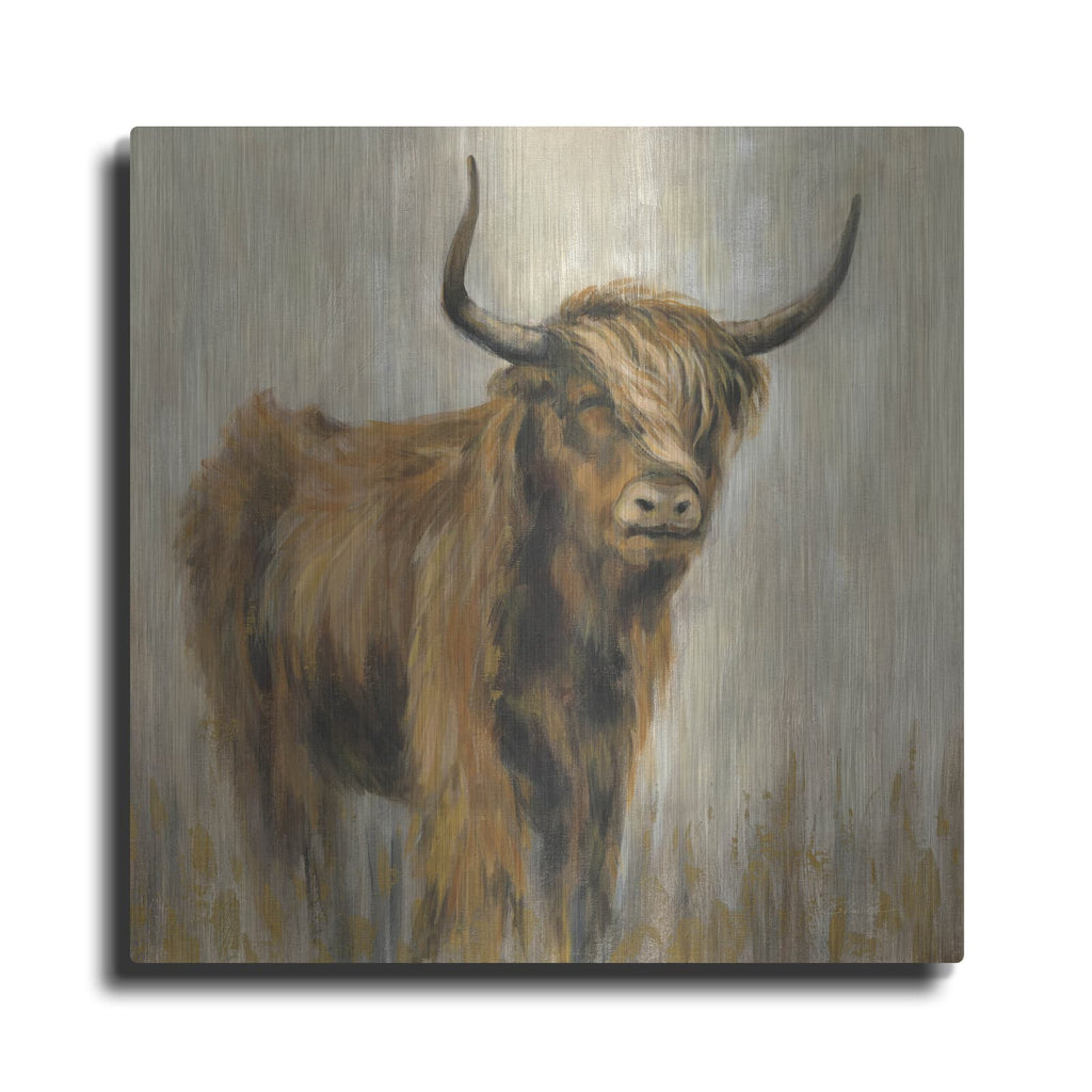 'Highland Mountain Cow' by Silvia Vassileva – Metal Wall Art