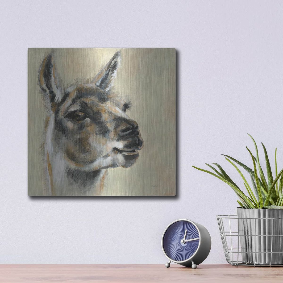 'Llama Portrait' by Silvia Vassileva – Metal Wall Art, 12x12 room view