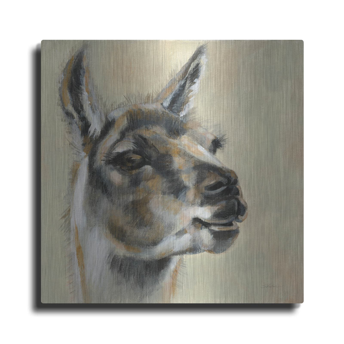 'Llama Portrait' by Silvia Vassileva – Metal Wall Art