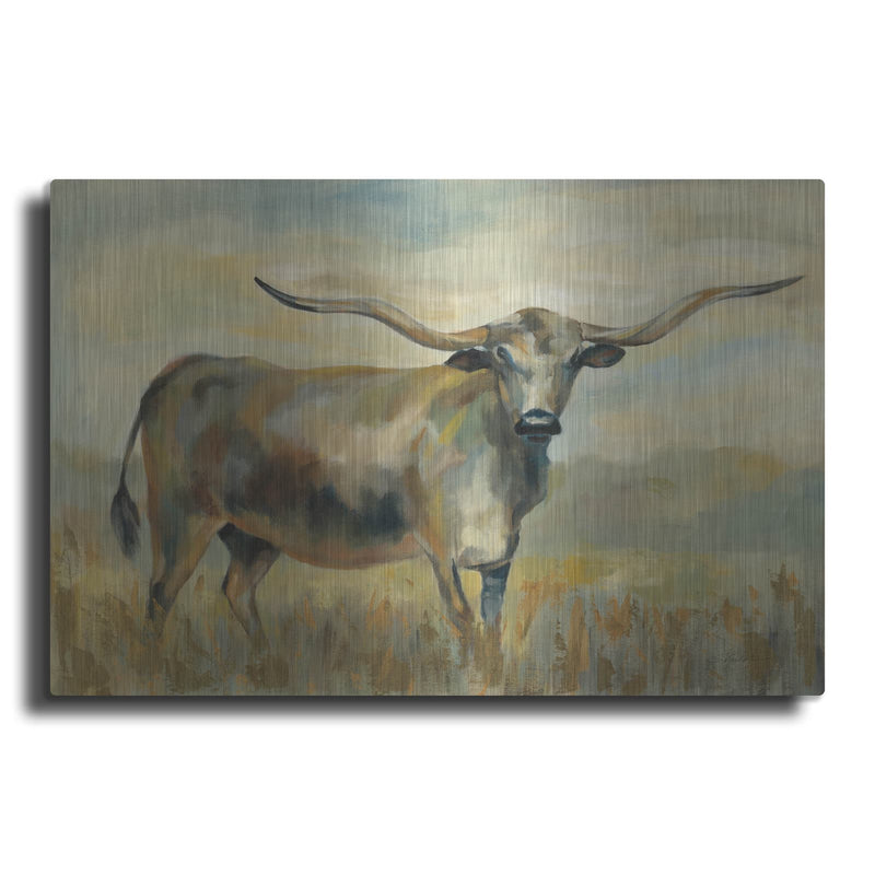 'Longhorn Cow' by Silvia Vassileva – Metal Wall Art
