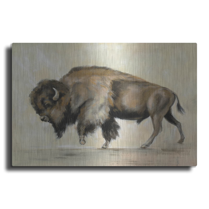 'Bronze Buffalo' by Silvia Vassileva – Metal Wall Art