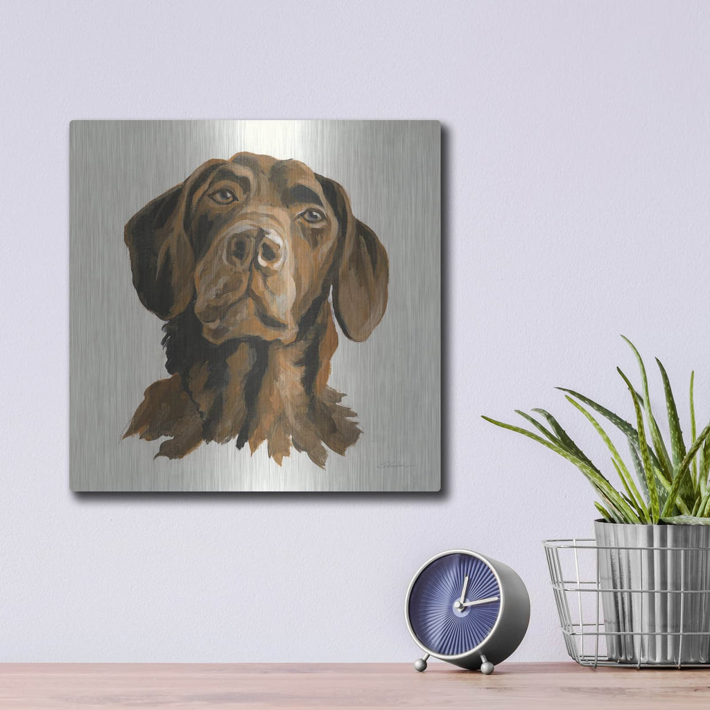 'Oscar' by Silvia Vassileva – Metal Wall Art, 12x12 room view