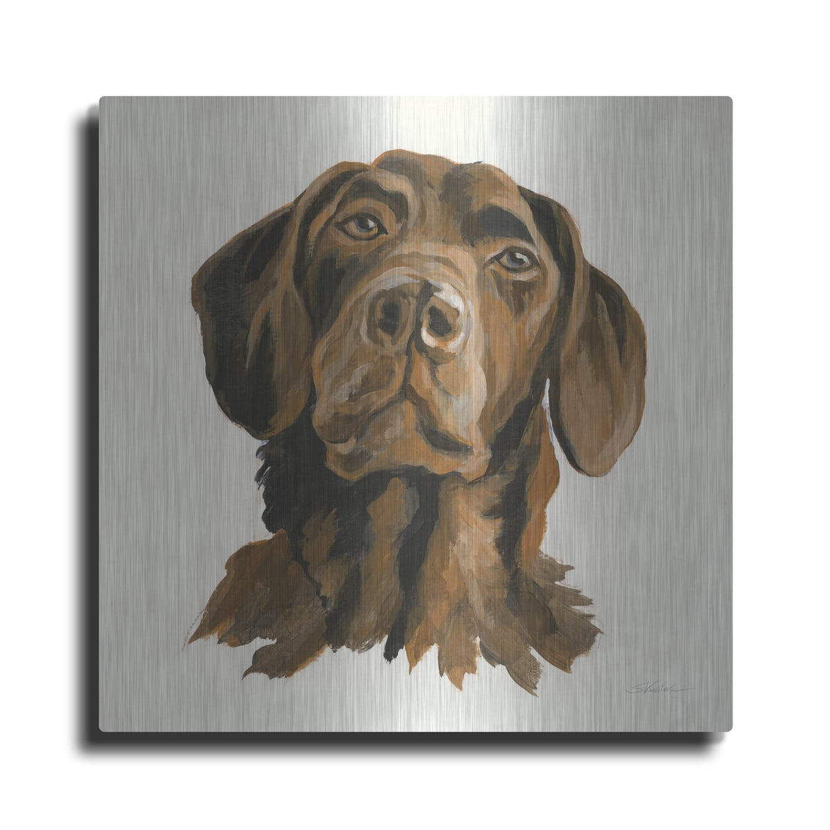 'Oscar' by Silvia Vassileva – Metal Wall Art