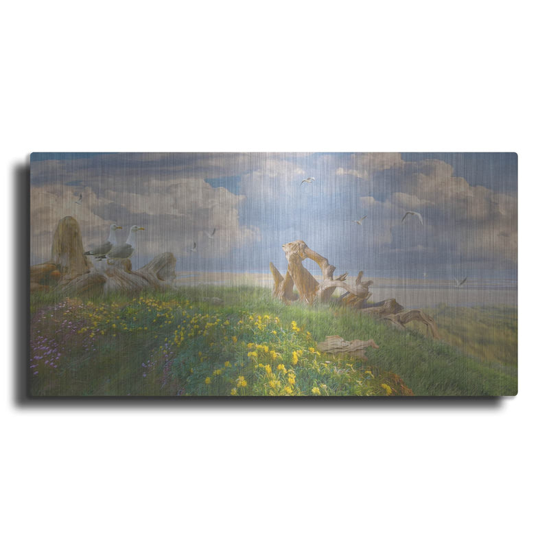 'Beach Lookouts' by Steve Hunziker – Metal Wall Art
