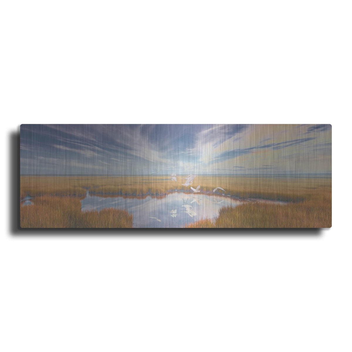 'Early Risers' by Steve Hunziker – Metal Wall Art