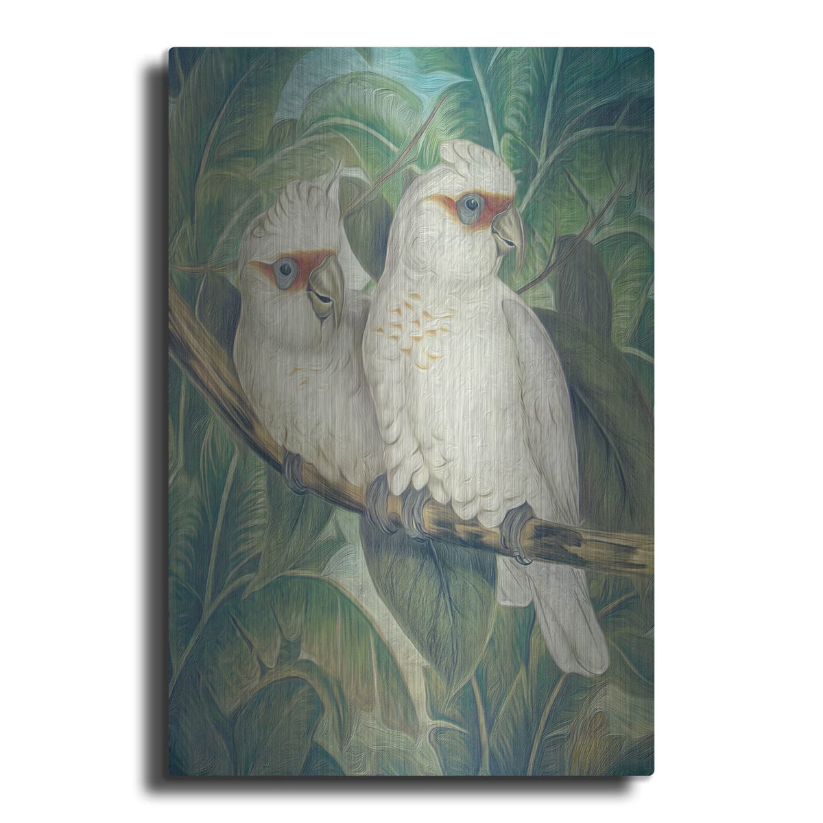 'Painted Plumage Three' by Steve Hunziker – Metal Wall Art