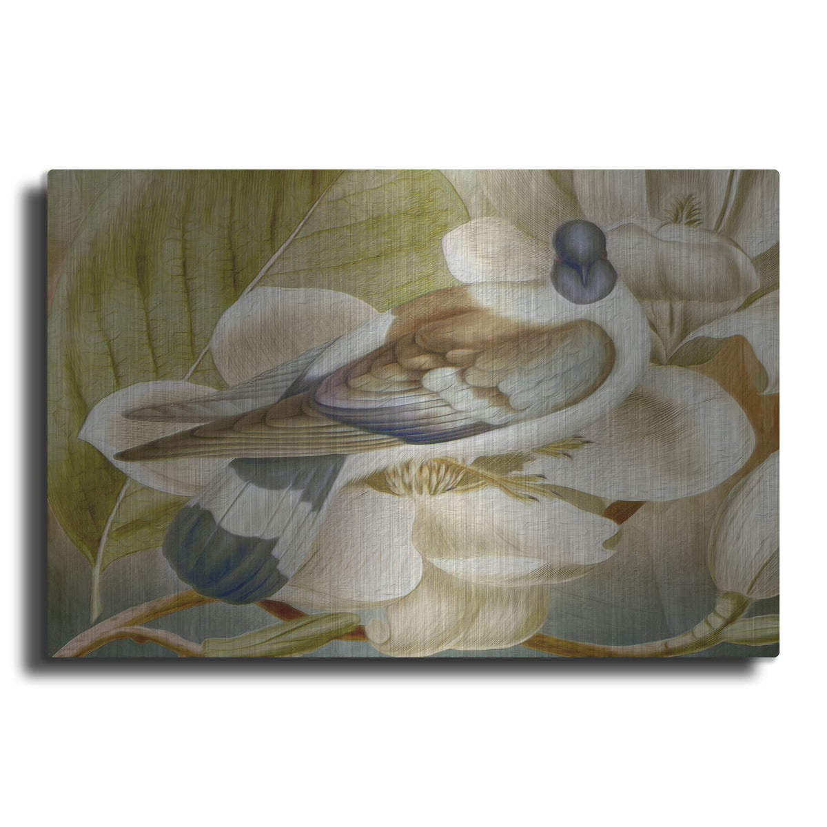 'Painted Plumage One' by Steve Hunziker – Metal Wall Art