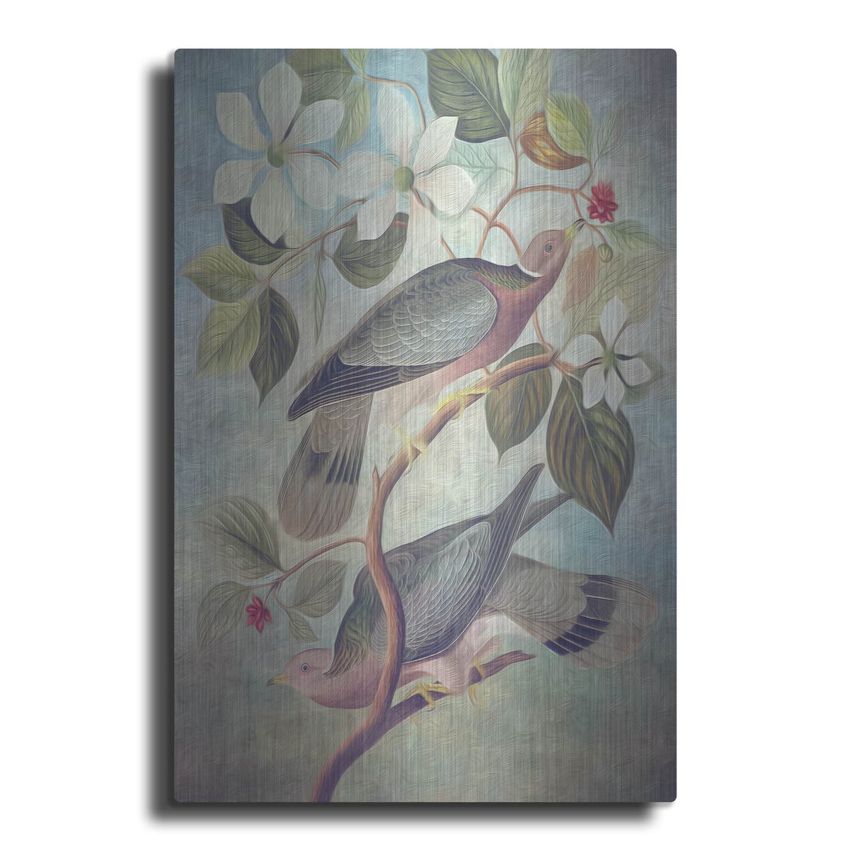 'Painted Plumage Two' by Steve Hunziker – Metal Wall Art