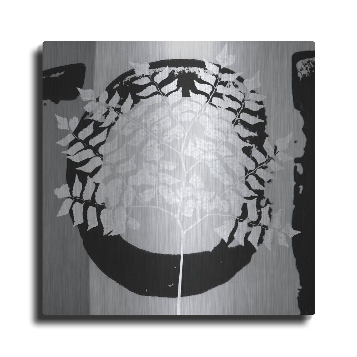 'Chalk Leaf 1' by Karen Smith – Metal Wall Art