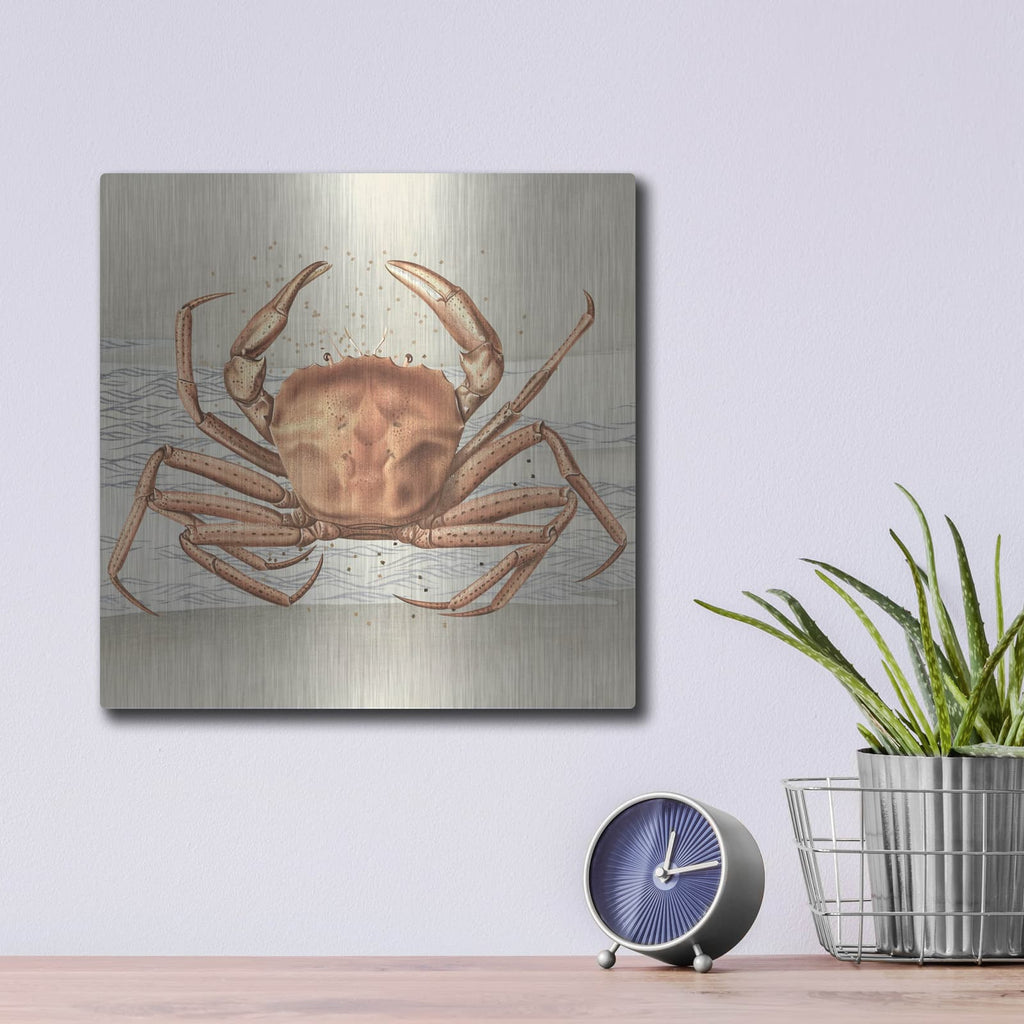 'Sandcritter 1' by Karen Smith – Metal Wall Art, 12x12 room view