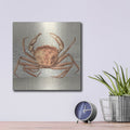 'Sandcritter 1' by Karen Smith – Metal Wall Art, 12x12 room view