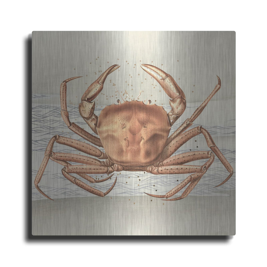 'Sandcritter 1' by Karen Smith – Metal Wall Art