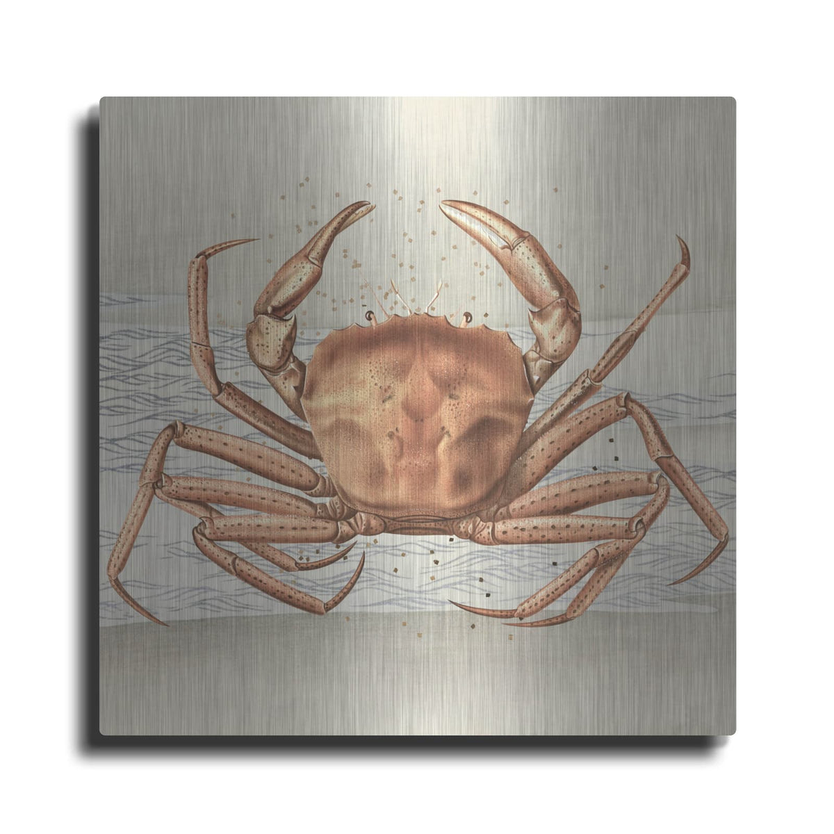 'Sandcritter 1' by Karen Smith – Metal Wall Art