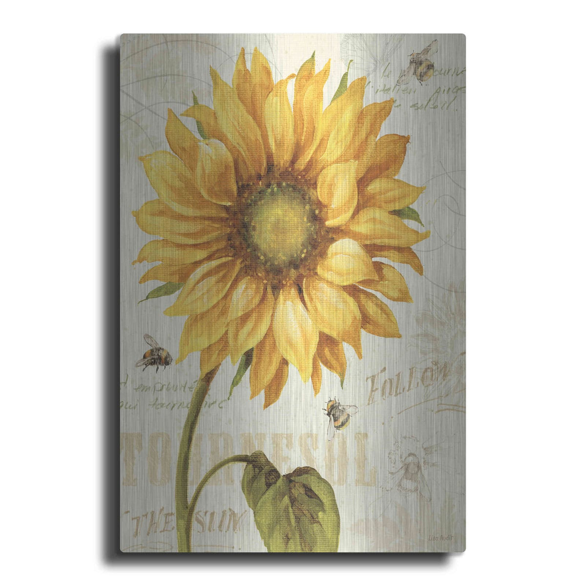 'Under The Sun I' by Lisa Audit – Metal Wall Art