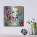 'Abstract Joyful Dog II' by Veve – Metal Wall Art, 12x12 room view