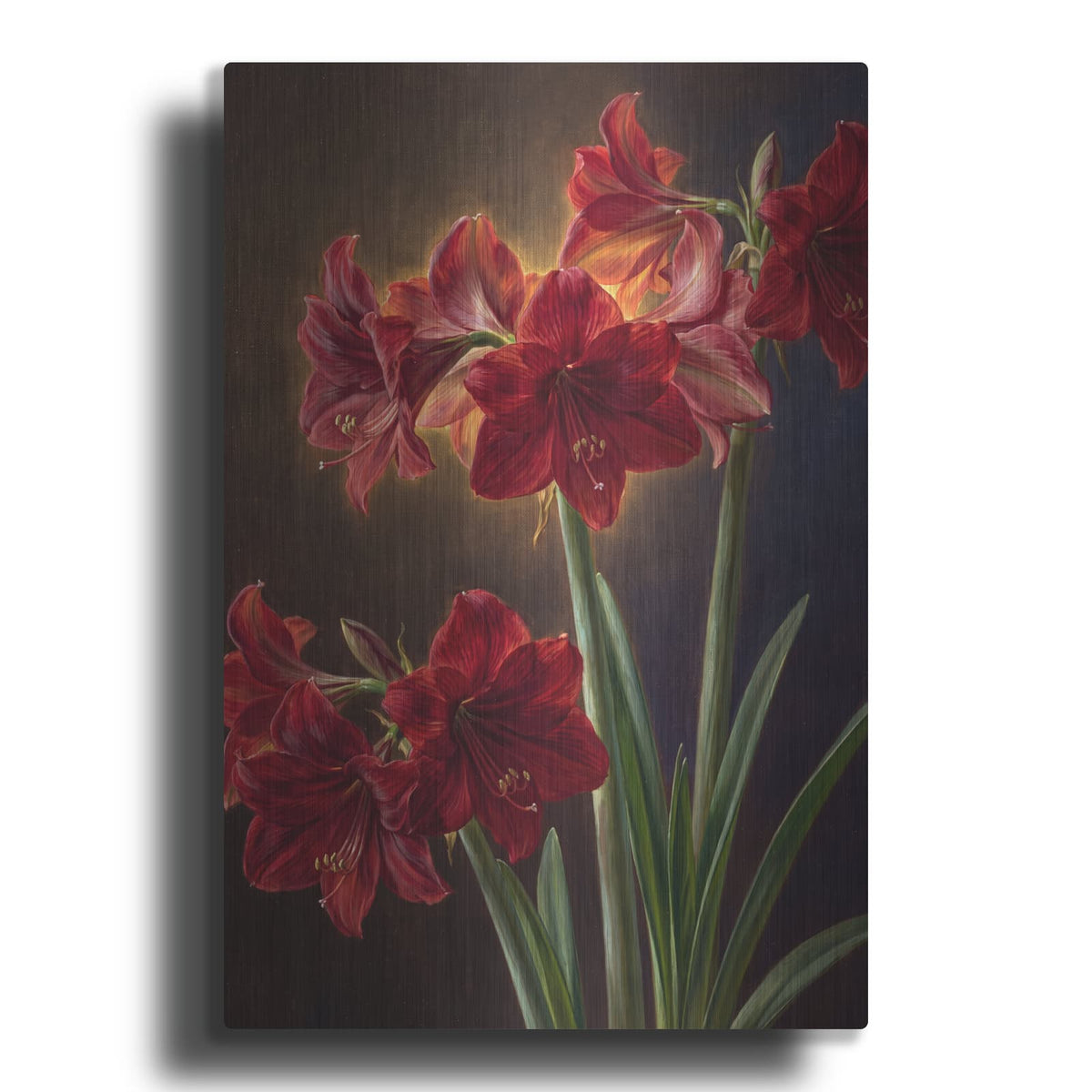'Amaryllis Trumpet Light' by Veve – Metal Wall Art