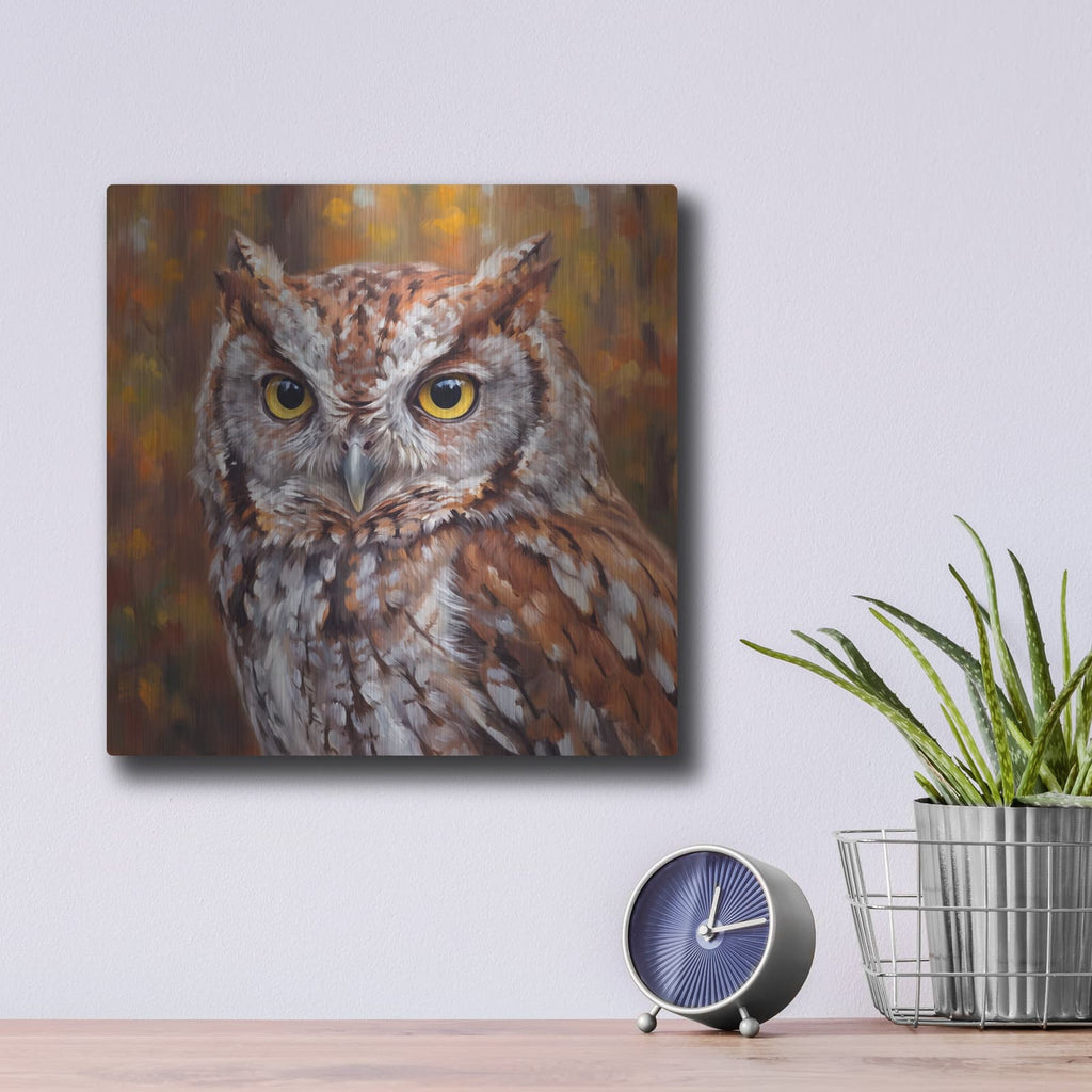 'Autumn Whisper Eastern Screech Owl' by Veve – Metal Wall Art, 12x12 room view