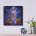 'Cosmic French Bulldog' by Veve – Metal Wall Art, 12x12 room view