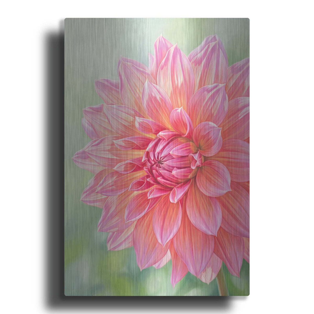 'Dahlia Fire Bloom' by Veve – Metal Wall Art