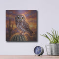 'Elf Owl' by Veve – Metal Wall Art, 12x12 room view