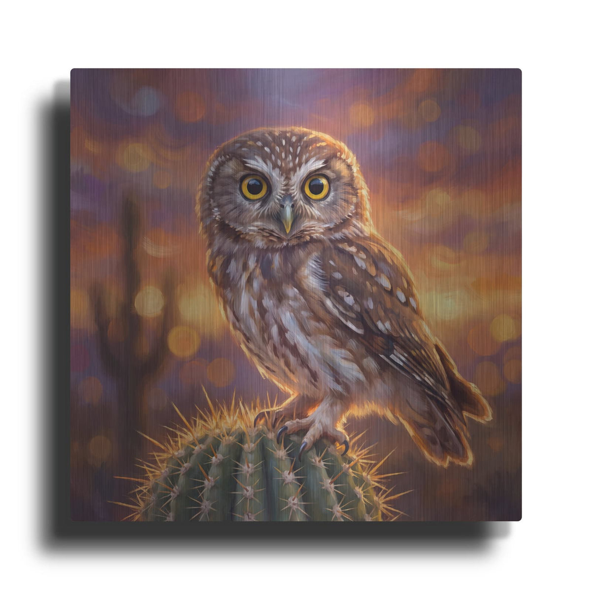 'Elf Owl' by Veve – Metal Wall Art