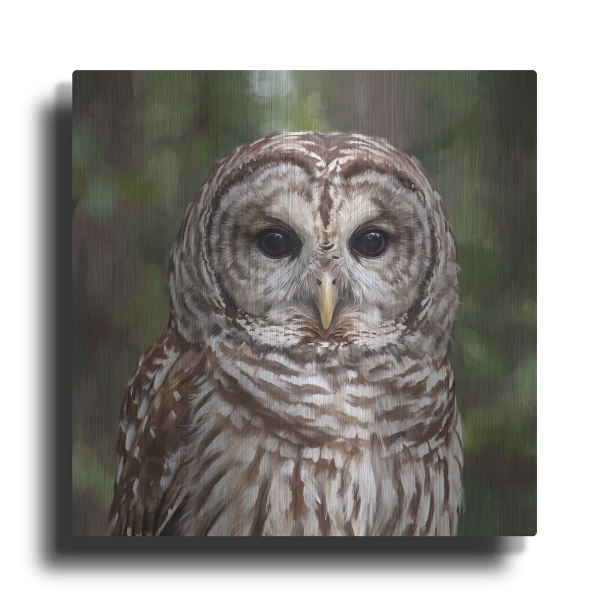 'Forest Stripes Barred Owl' by Veve – Metal Wall Art