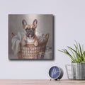 'French Bulldog in Laundry Basket' by Veve – Metal Wall Art, 12x12 room view
